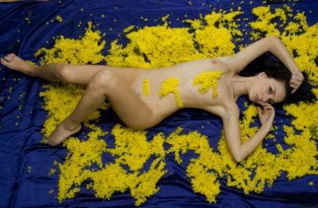 Young brunette Nicollet hits upon great nude poses during a solo gig