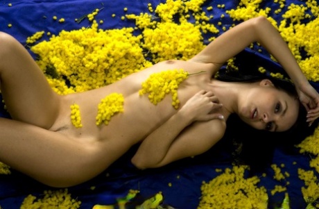 Young brunette Nicollet hits upon great nude poses during a solo gig