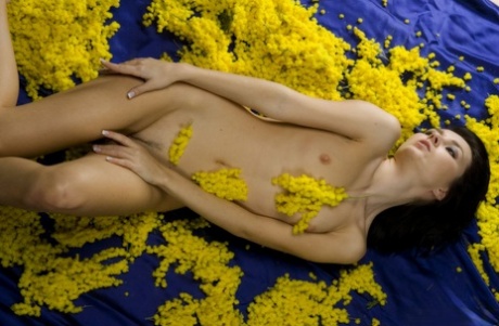Young brunette Nicollet hits upon great nude poses during a solo gig