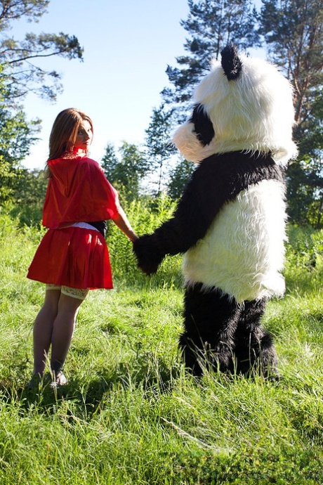 Teen girl Madelyn gets banged by a Panda in Little Red Riding Hood attire