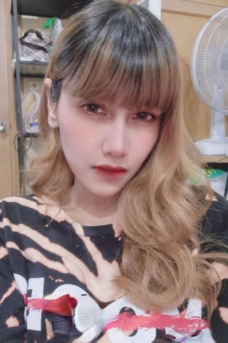 Hello Ladyboy Ladyboy Nay