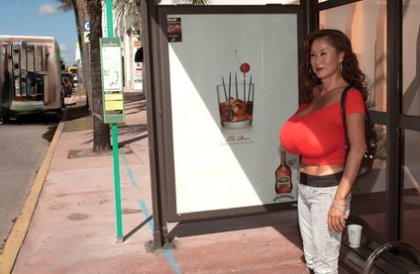 Big Boob Bundle starring Minka Naked Pictures